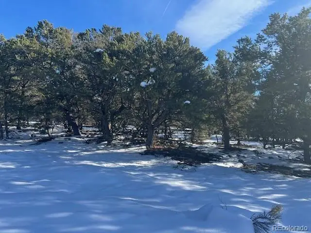 3952 Cheerful Place, Crestone, CO 81131 - Image #1