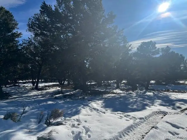 3952 Cheerful Place, Crestone, CO 81131 - Image #3