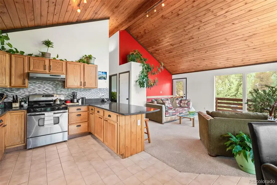 1682 Clark Road, Bailey, CO 80421 - #3