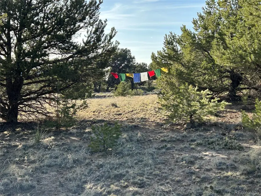 1933 Lone Pine Way, Crestone, CO 81131 - #3