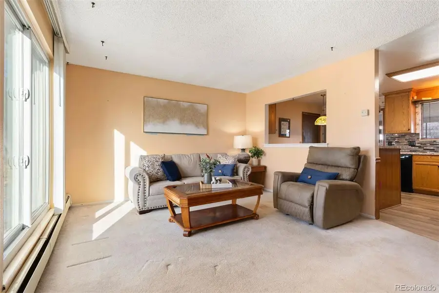 10899 Grange Creek Drive, Thornton, CO 80233 - Image #3