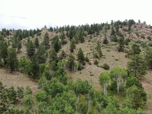 76 Crocus Circle, Florissant, CO 80816