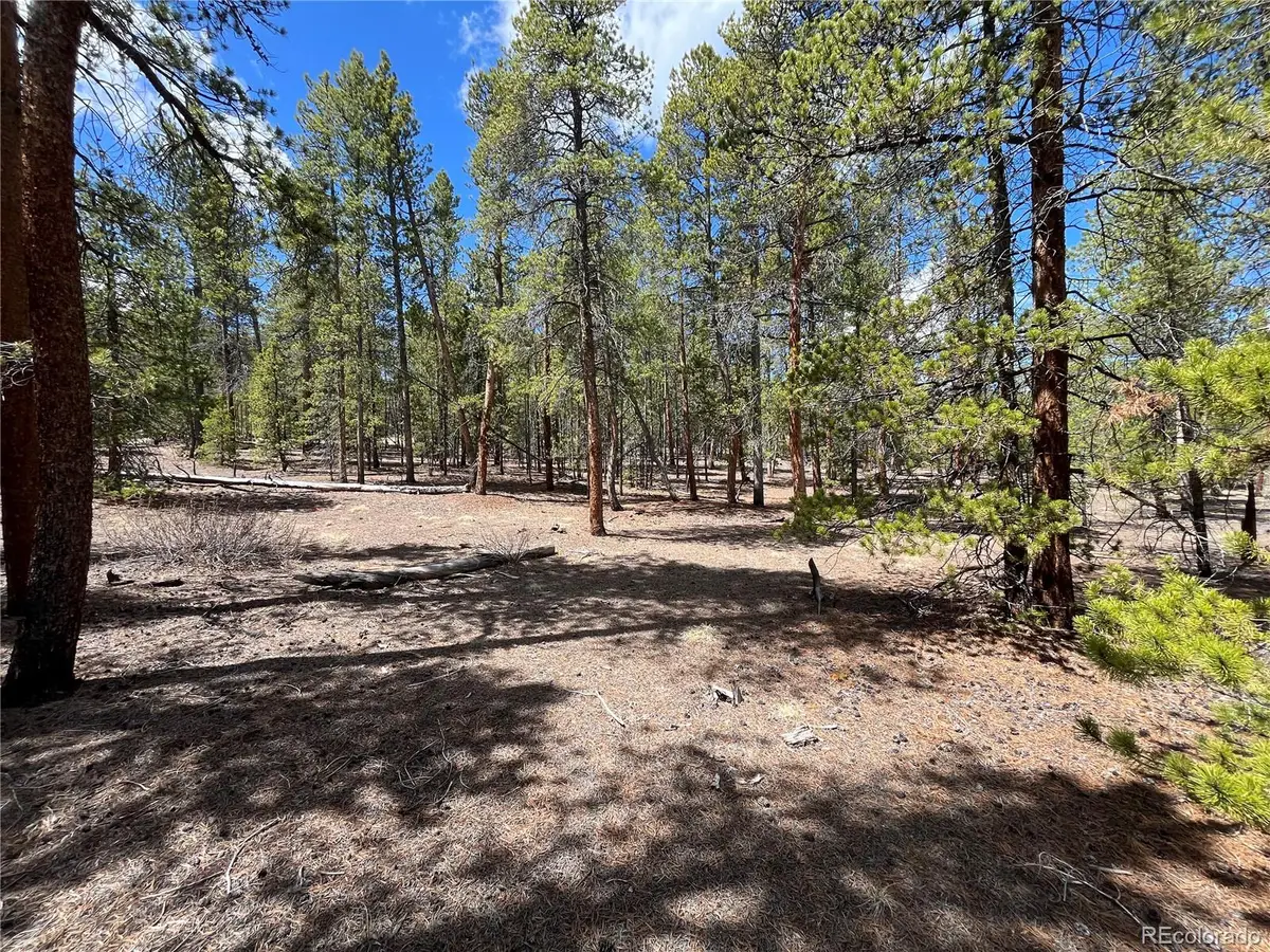 1013 Sequoia Drive, Twin Lakes, CO 81251 - #1