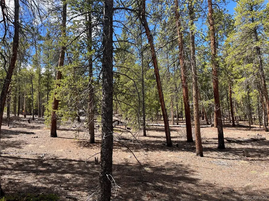1013 Sequoia Drive, Twin Lakes, CO 81251 - #2