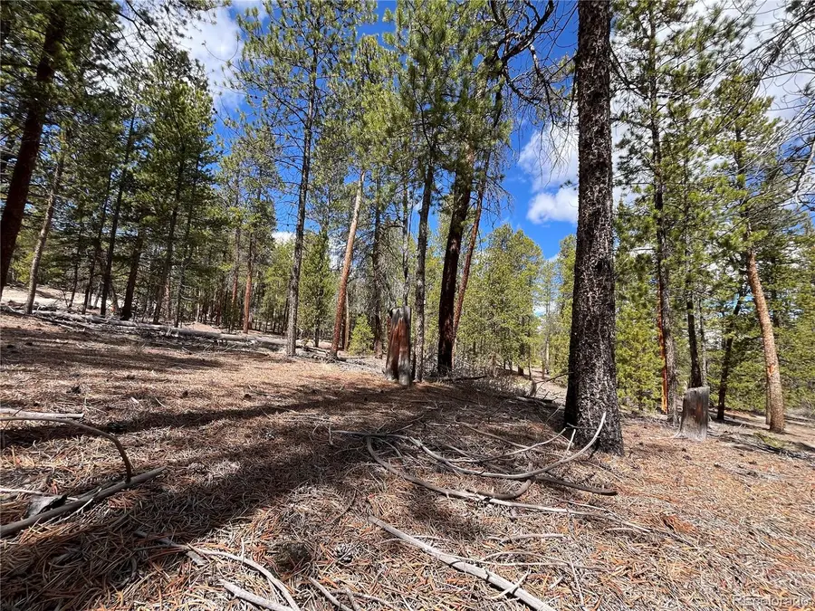 1013 Sequoia Drive, Twin Lakes, CO 81251 - #3