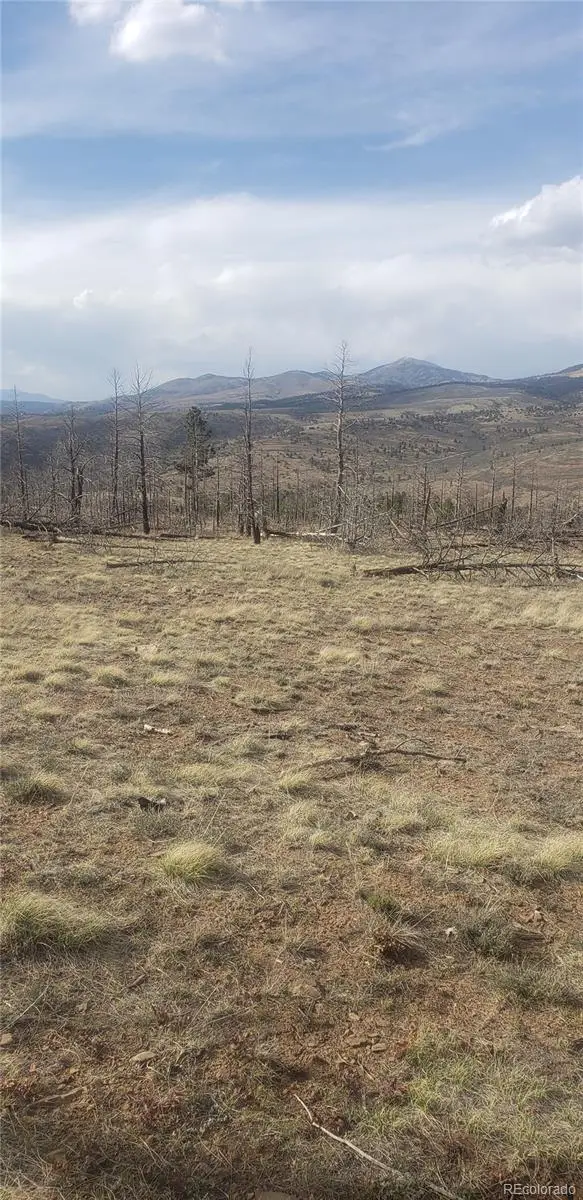 Lot 321 Hagin Lane, Fort Garland, CO 81133 - #1