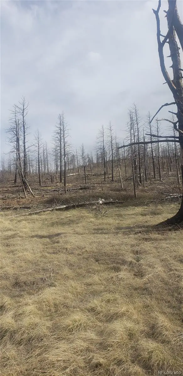 Lot 321 Hagin Lane, Fort Garland, CO 81133 - #3