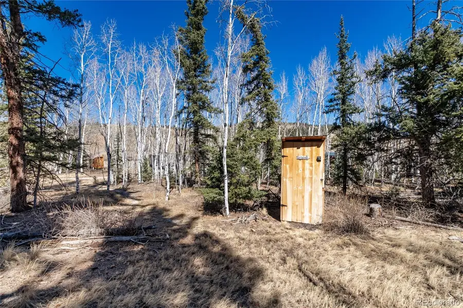 683 Latigo Loop, Lake George, CO 80820 - #3