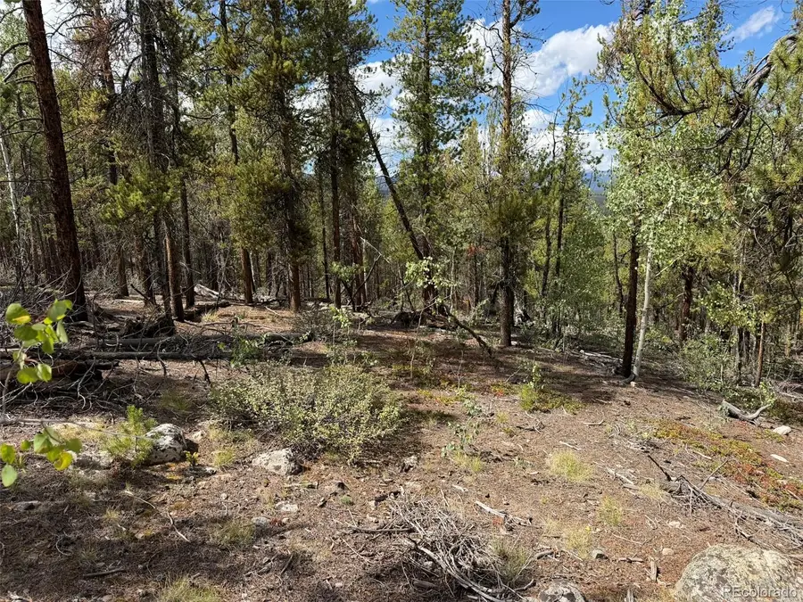105 Parry Peak Drive, Twin Lakes, CO 81251 - #2