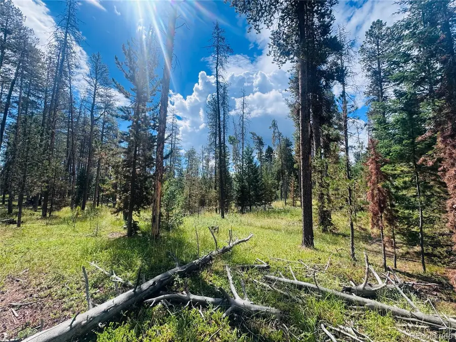 Lot 2m Vickery Ave, Conifer, CO 80433 - #2