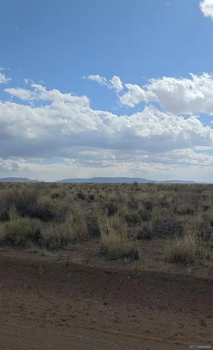 Lot 1 Durango Ave., Blanca, CO 81123 - #3
