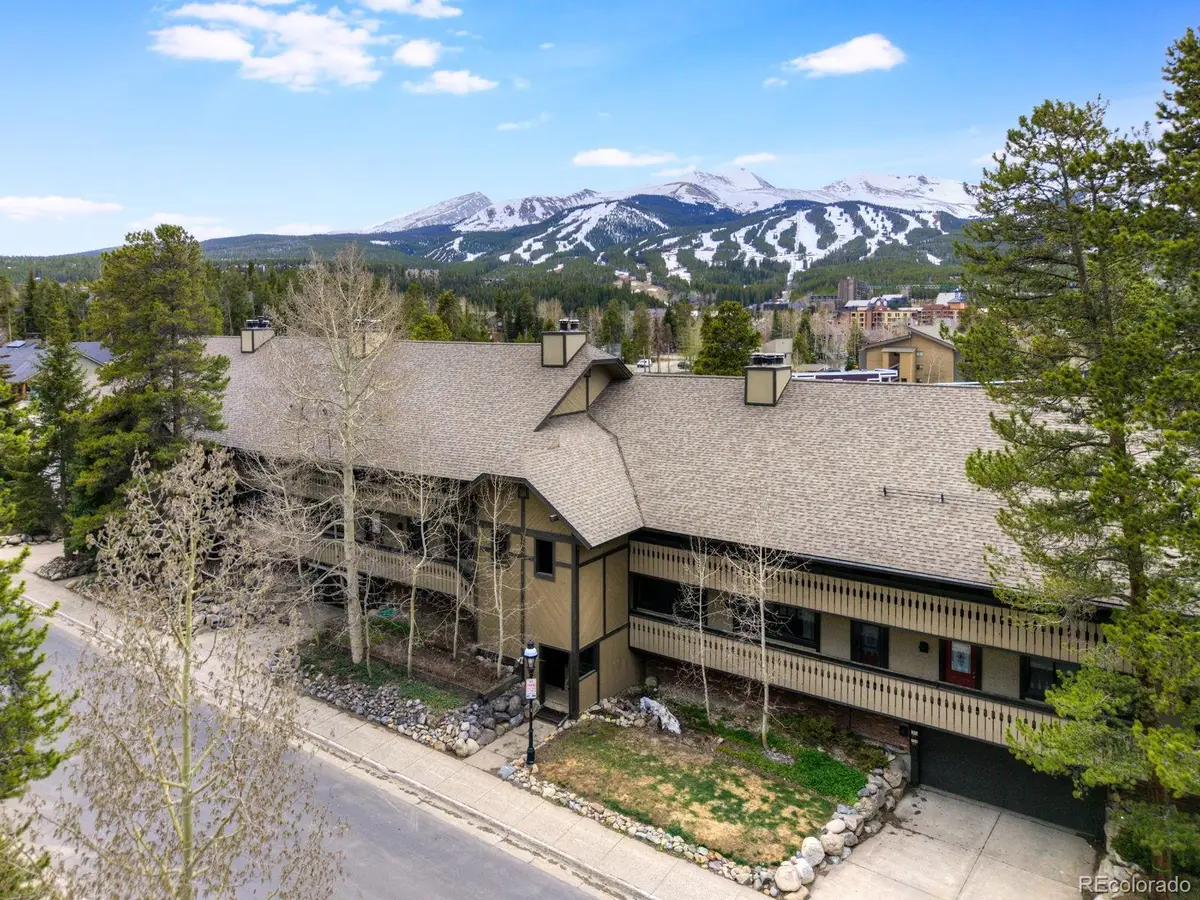 311 S High Street #108, Breckenridge, CO 80424 - Image #1