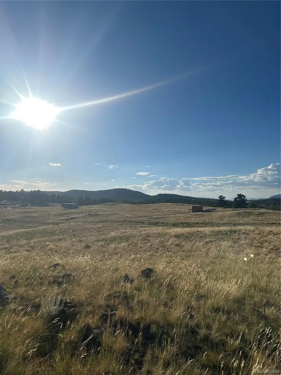 290 Castle Mountain Drive, Florissant, CO 80816 - #1