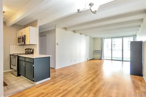 4801 E 9th Avenue #207S, Denver, CO 80220