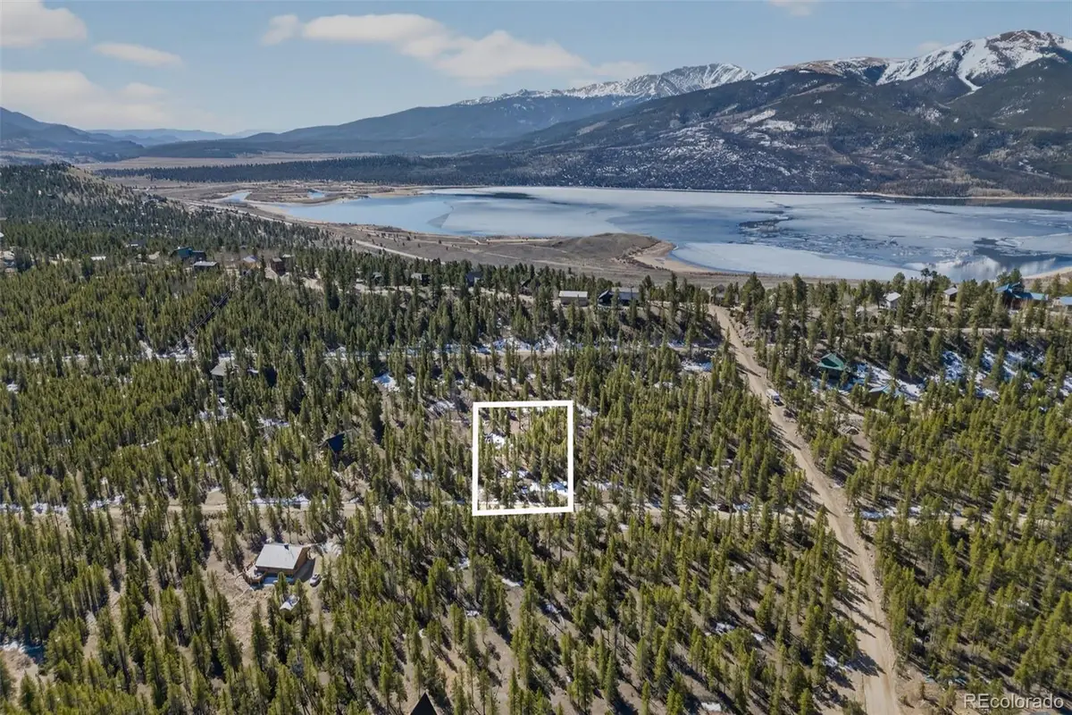 312 Mt Massive Road, Twin Lakes, CO 81251 - #1