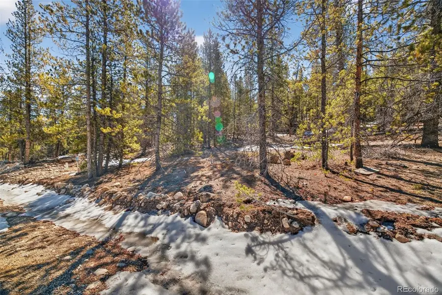 312 Mt Massive Road, Twin Lakes, CO 81251 - #2