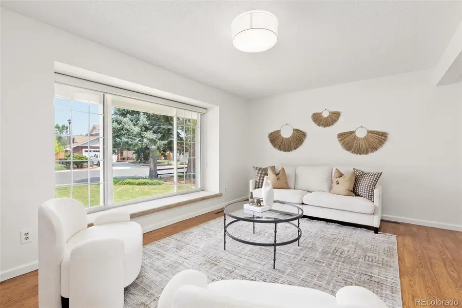 1046 E 6th Circle, Broomfield, CO 80020 - #3