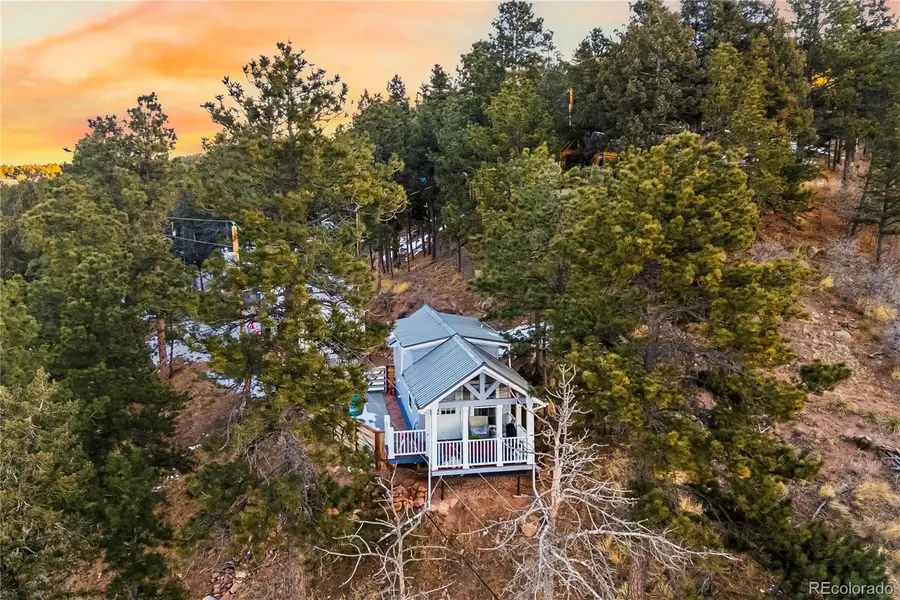 19253 E Highway 24, Woodland Park, CO 80863 - #3