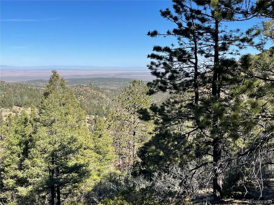 6168 Hoadley Road, Fort Garland, CO 81133 - #3