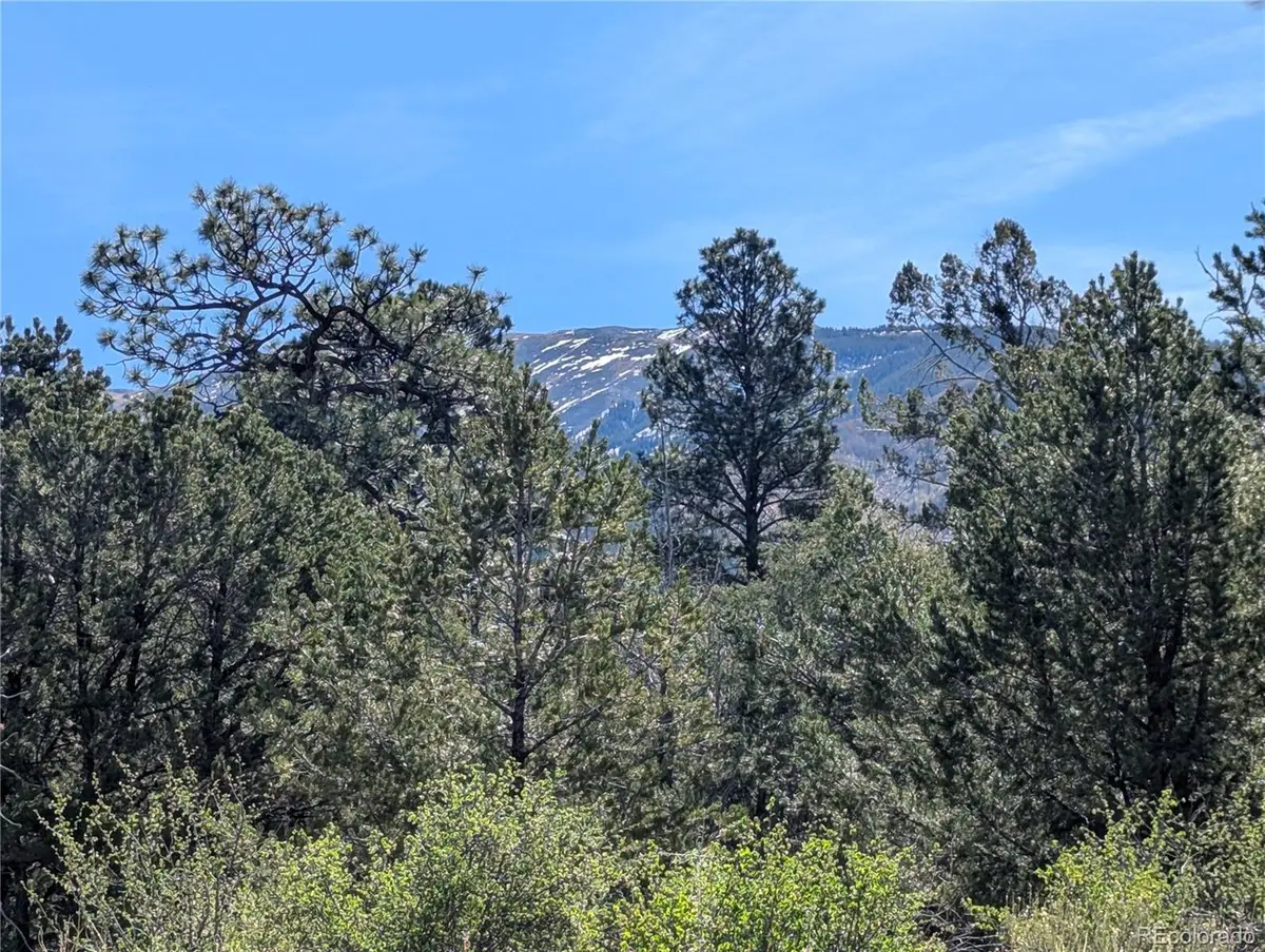 200 Mill Run Road, Mosca, CO 81146 - #1