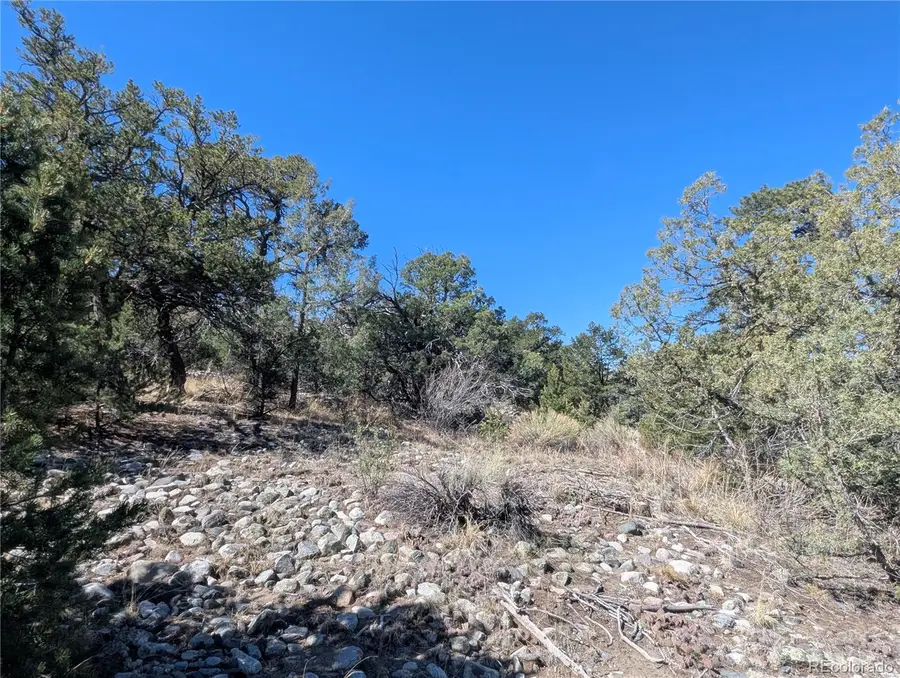 200 Mill Run Road, Mosca, CO 81146 - #2