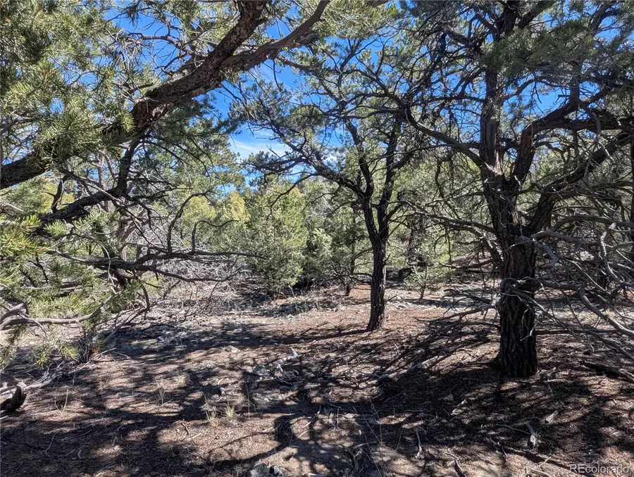 200 Mill Run Road, Mosca, CO 81146 - #3