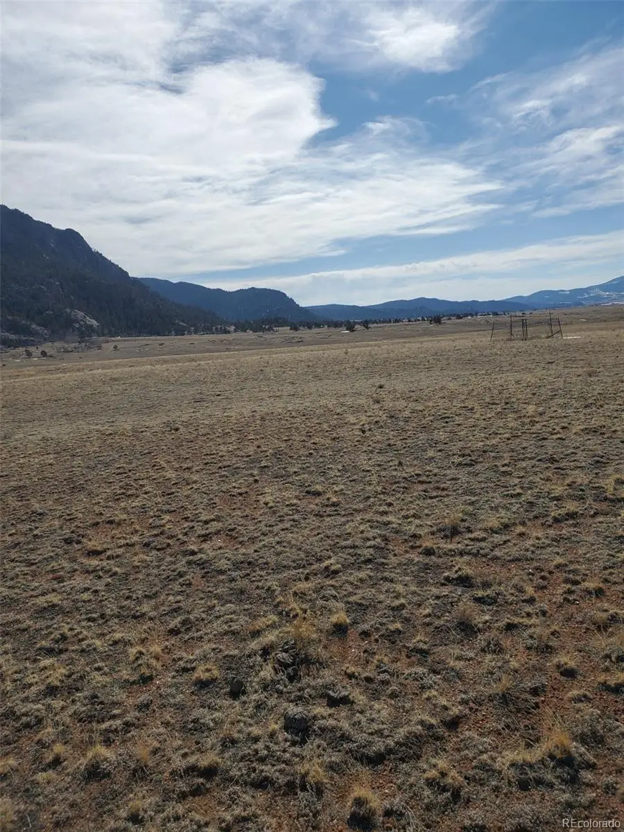 County Road 333, Lake George, CO 80827 - #3