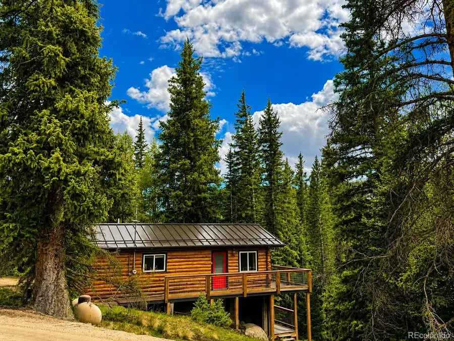 467 Nuthatch Drive, Alma, CO 80420 - #2
