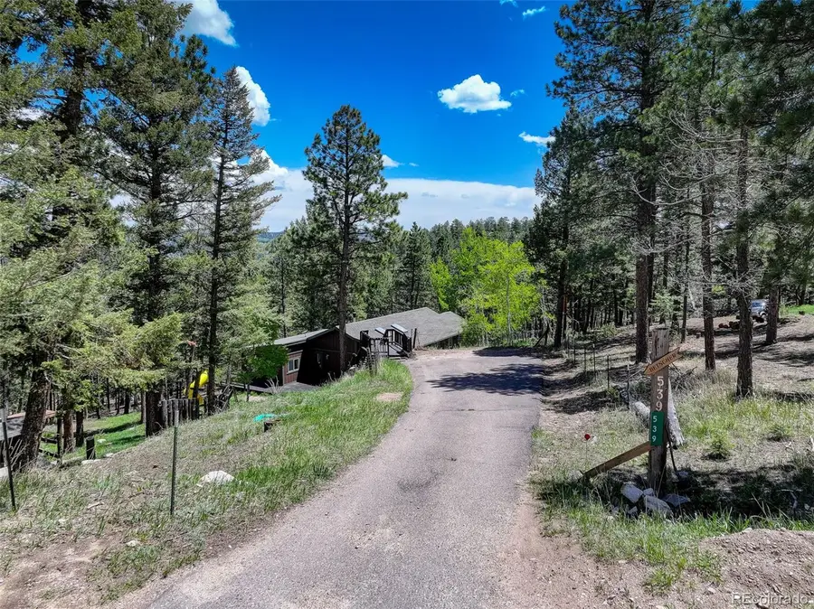 539 S Random Road, Bailey, CO 80421 - #2