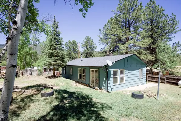 126 Sullivan Street, Bailey, CO 80421