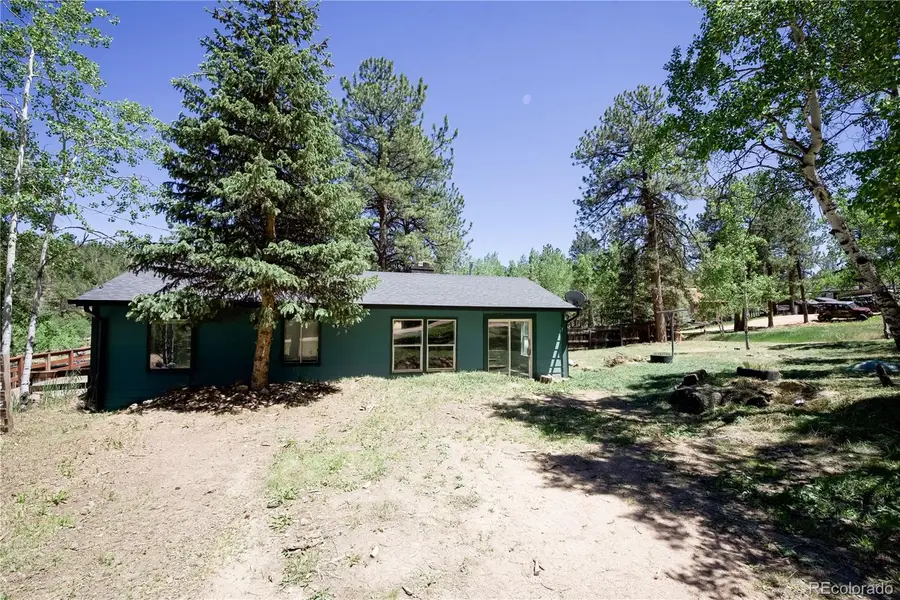 126 Sullivan Street, Bailey, CO 80421 - #3