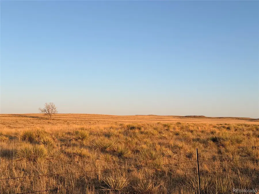 25411 County Rd 105, Simla, CO 80835 - #3