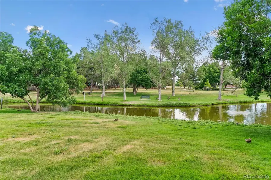 10417 Red Mountain W, Littleton, CO 80127 - #3