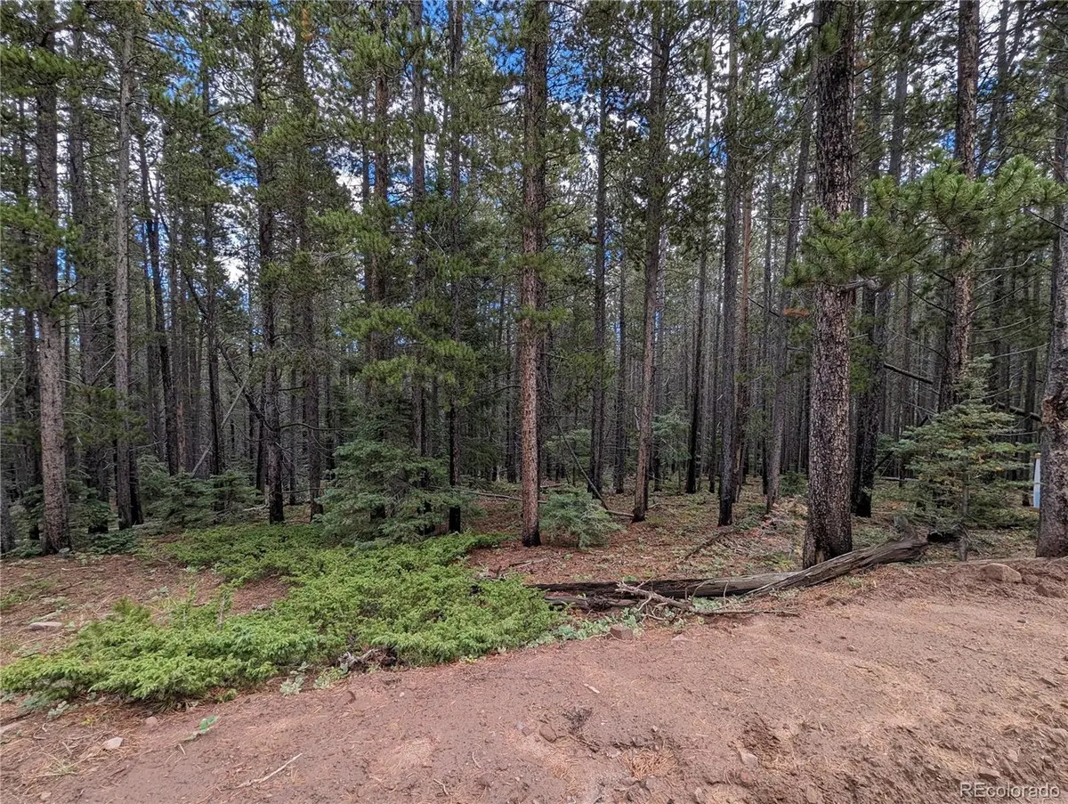 3022 Bolwell Lane, Fort Garland, CO 81133 - Image #1