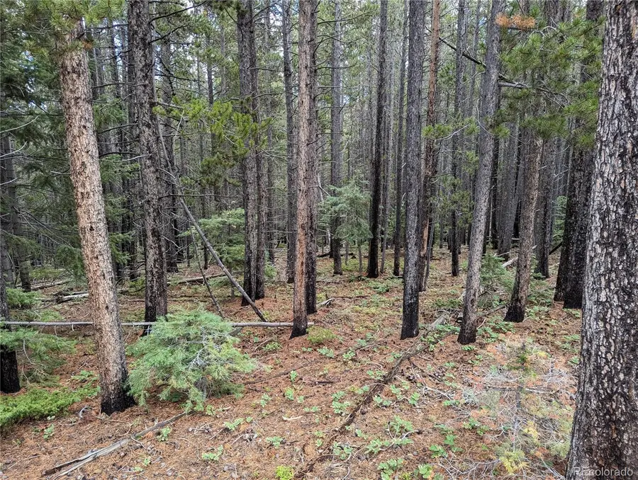 3022 Bolwell Lane, Fort Garland, CO 81133 - Image #2