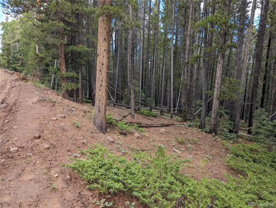 3022 Bolwell Lane, Fort Garland, CO 81133 - Image #3