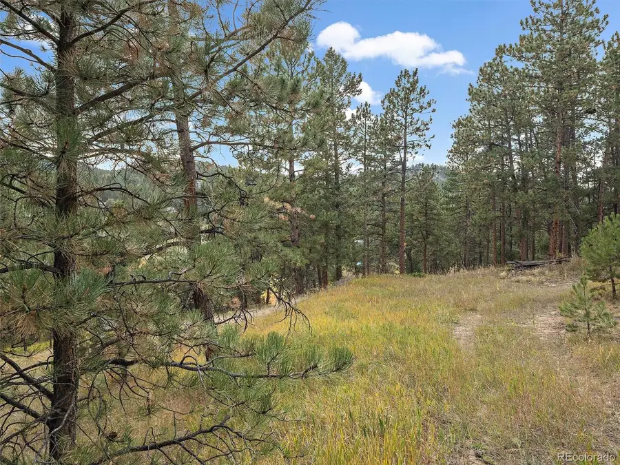 28155 Cragmont, Evergreen, CO 80439 - #3