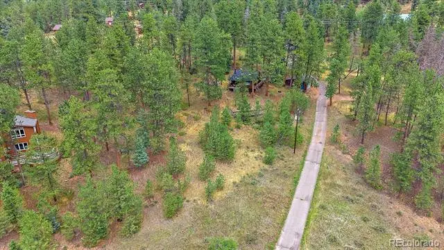 28321 Shadow Mountain, Conifer, CO 80433 - #2