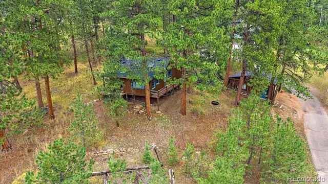 28321 Shadow Mountain, Conifer, CO 80433 - #3