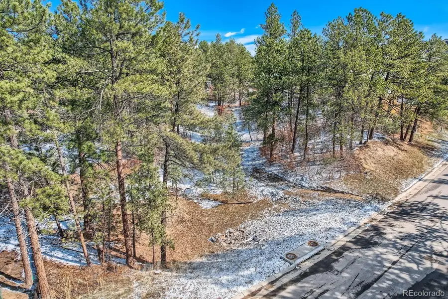 665 Copper Fox Place, Larkspur, CO 80118 - #3