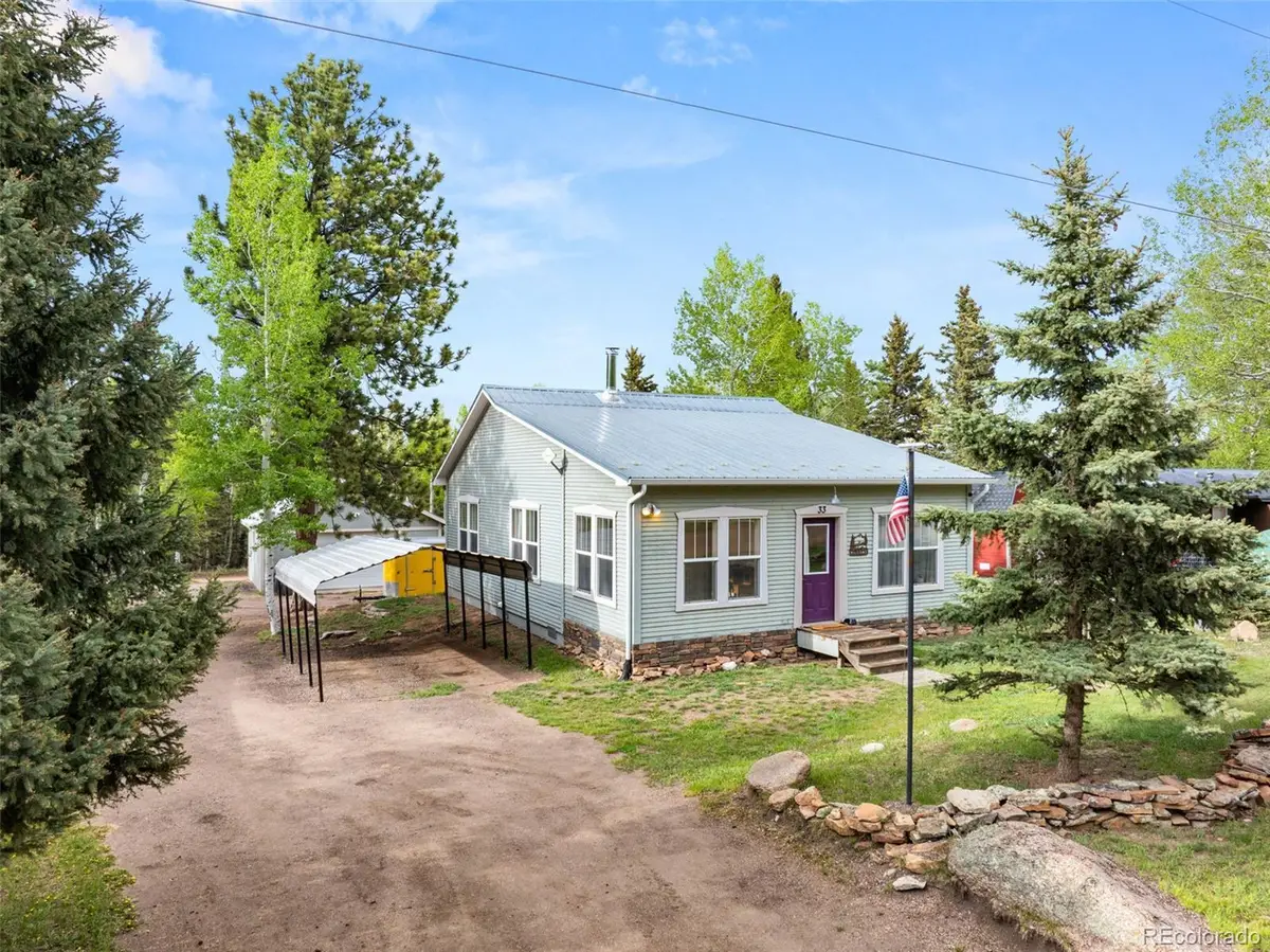 33 Maid Marian Drive, Divide, CO 80814 - #1