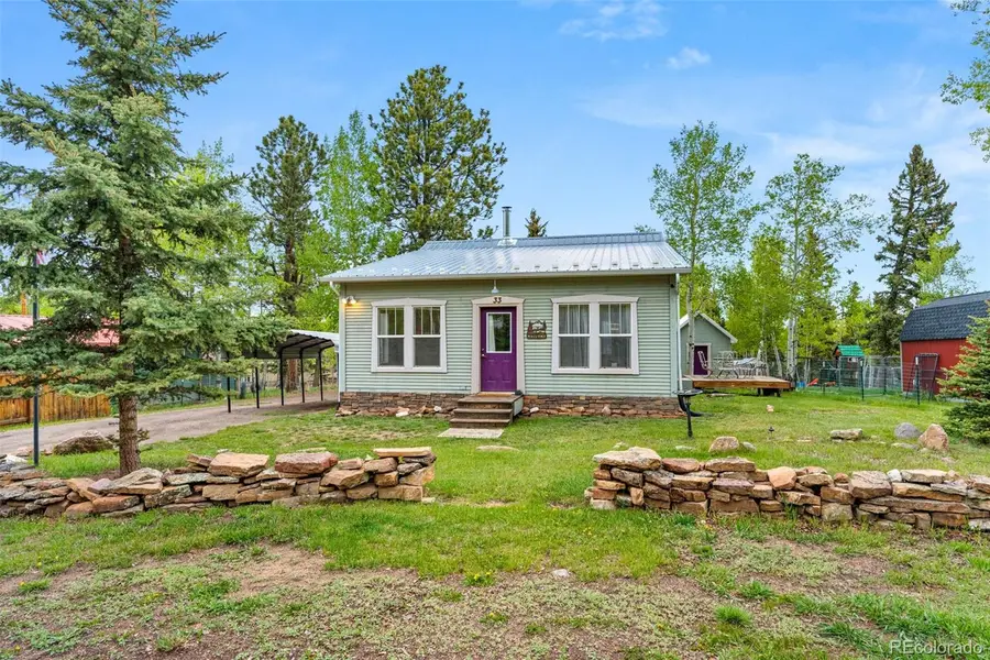 33 Maid Marian Drive, Divide, CO 80814 - #2