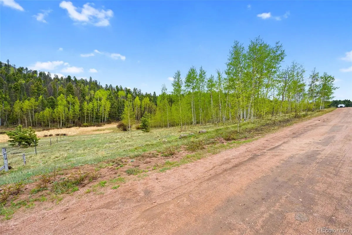 522 Hidden Valley Drive, Lake George, CO 80827 - #1