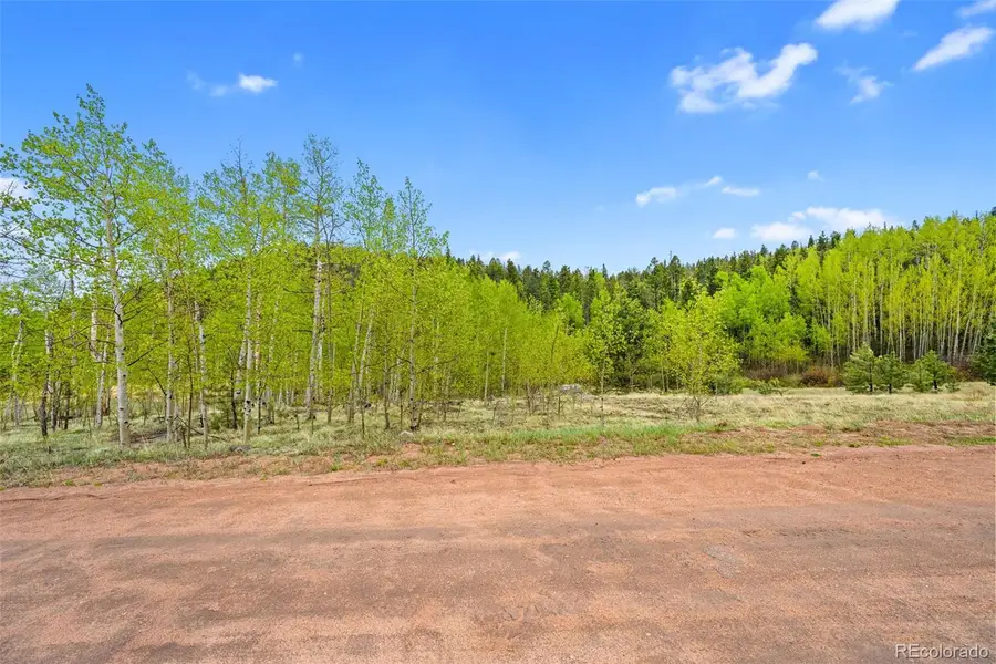 522 Hidden Valley Drive, Lake George, CO 80827 - #2