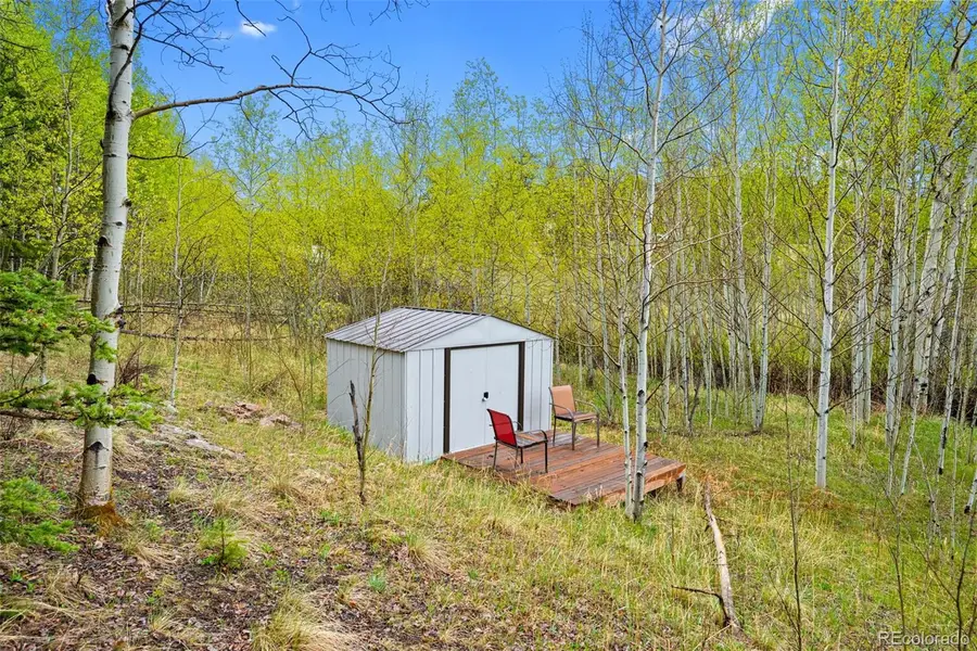 522 Hidden Valley Drive, Lake George, CO 80827 - #3