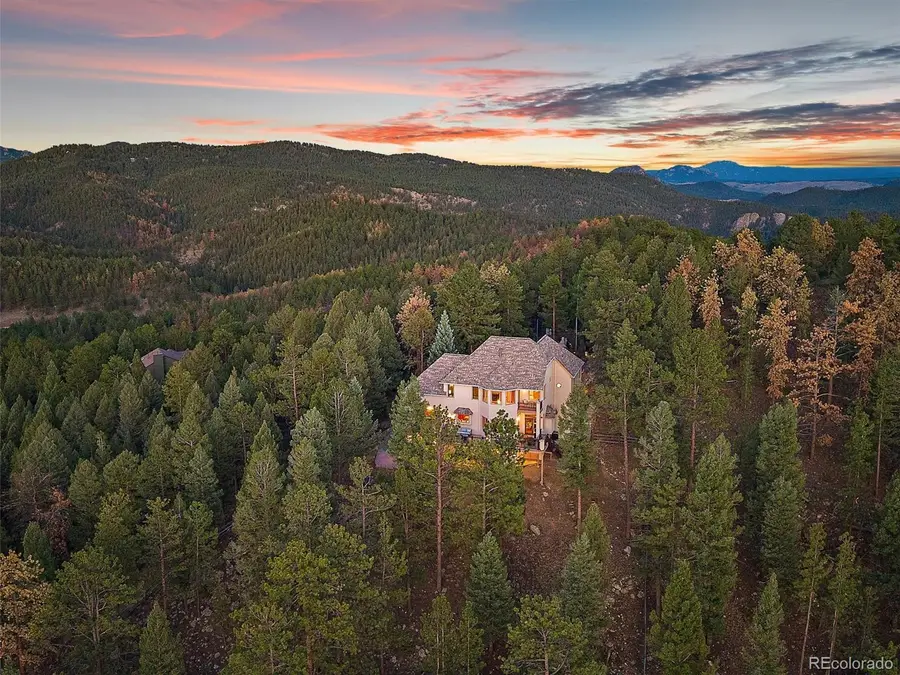 13695 May Long Court, Pine, CO 80470 - #3