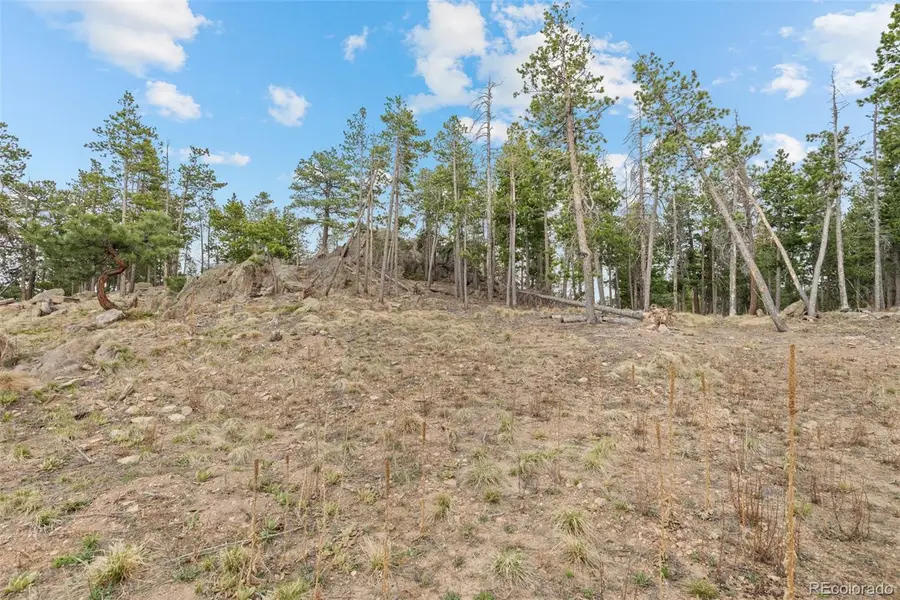 10157 Horizon View Drive, Morrison, CO 80465 - #3