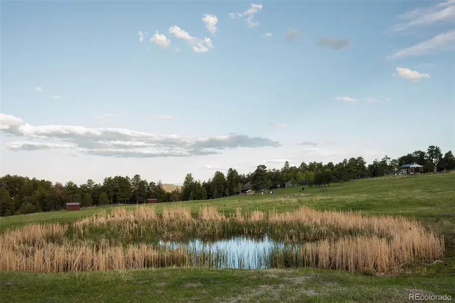 Bear Mountain Drive, Evergreen, CO 80439 - #3