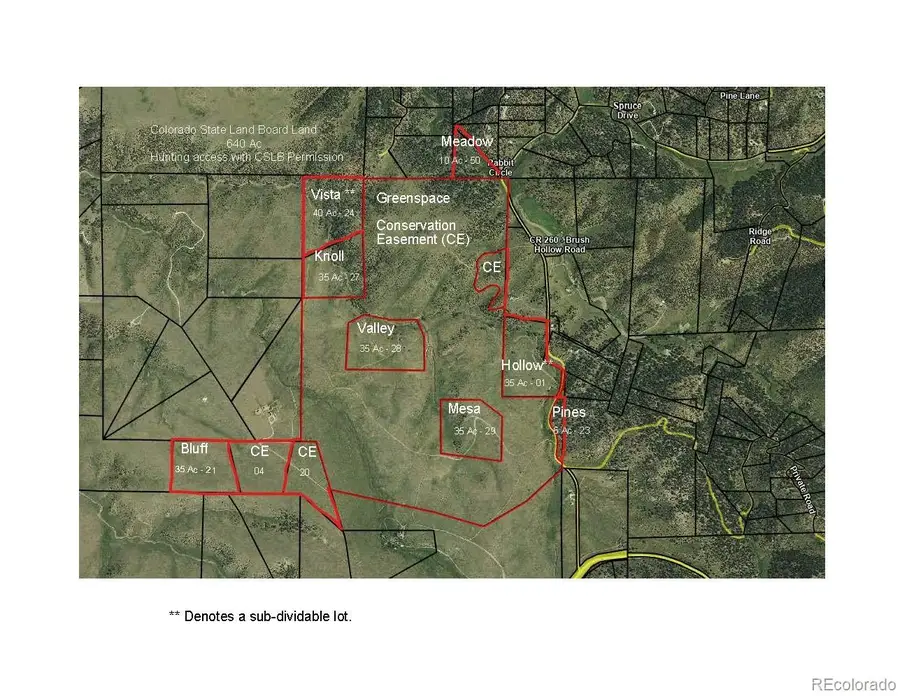 525 Brush Hollow Road, Westcliffe, CO 81252 - #2