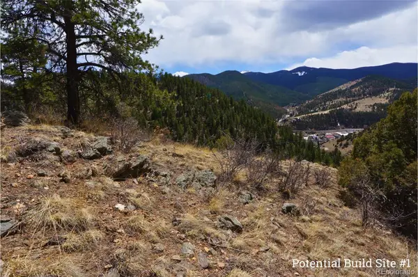 000 Virginia Canyon Road, Idaho Springs, CO 80452